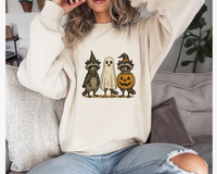 Gildan Sweatshirt (50%cotton/50%polyester)