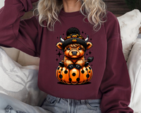 Gildan Sweatshirt (50%cotton/50%polyester)