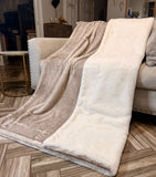 XL Sand Dollar Glazed Encore & Natural Encore