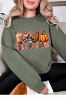 Gildan Sweatshirt (50%cotton/50%polyester)