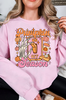 Gildan Sweatshirt (50%cotton/50%polyester)