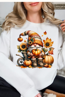 Gildan Sweatshirt (50%cotton/50%polyester)