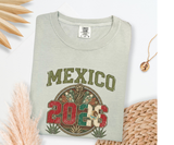 Comfort Colors Short Sleeve World Cup 2026 Shirts